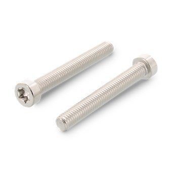 Рекомендуем купить ISO 14580 A2 M2X20 TX6